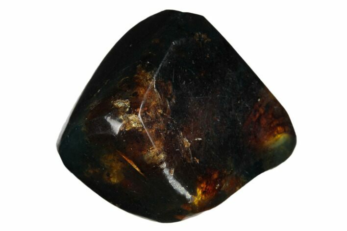 Polished Chiapas Amber ( g) - Mexico #180407